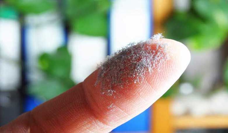 Vorsicht Hausstaubmilben-Allergie Vorsicht Hausstaubmilben-Allergie