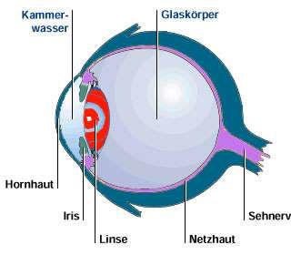 Glaskörpertrübung