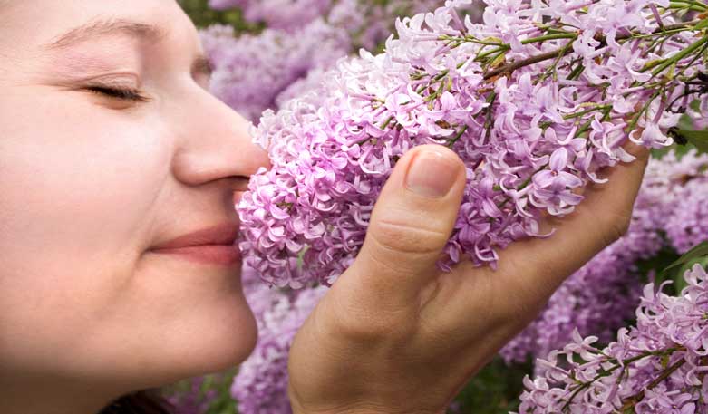 Wohlbefinden mit der Aromatherapie